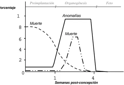 Figura  4.  Incidencia  de  anomalías  y  muerte  prenatal  o  neonatal  en  función  de  la  etapa  de 