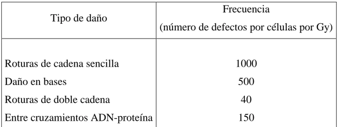 Tabla  I.  Frecuencia  estimada  de  daño  en  el  ADN  en  células  de  mamíferos,  causado  por 