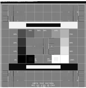 Figura 3: Test SMPTE 