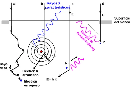 Figura 1. Interacción de electrones con la materia 