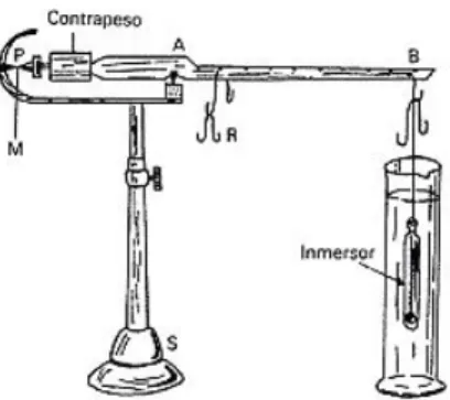 Figura 5: Balanza de Mohr.