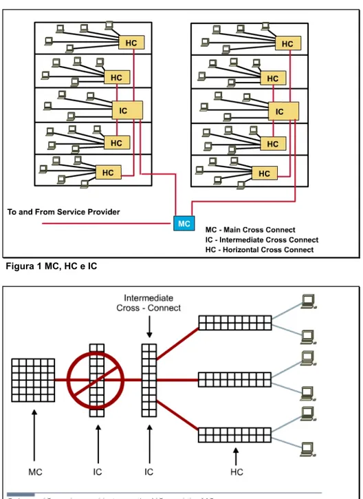 Figura 1 MC, HC e IC  