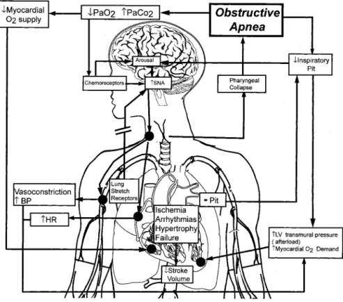 Figure 1. Pathophysiological effects of