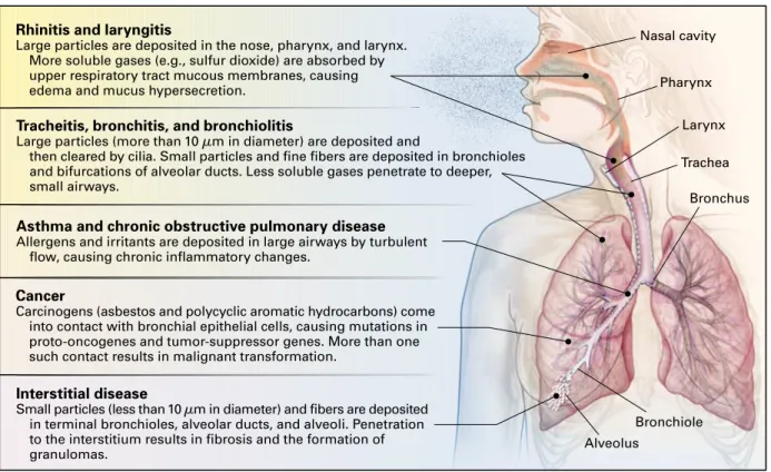 Figure 1.  Occupational Respiratory Diseases.