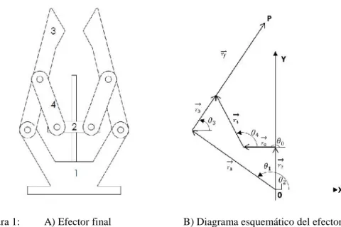 Figura 1: A) Efector final                           B) Diagrama esquemático del efector final