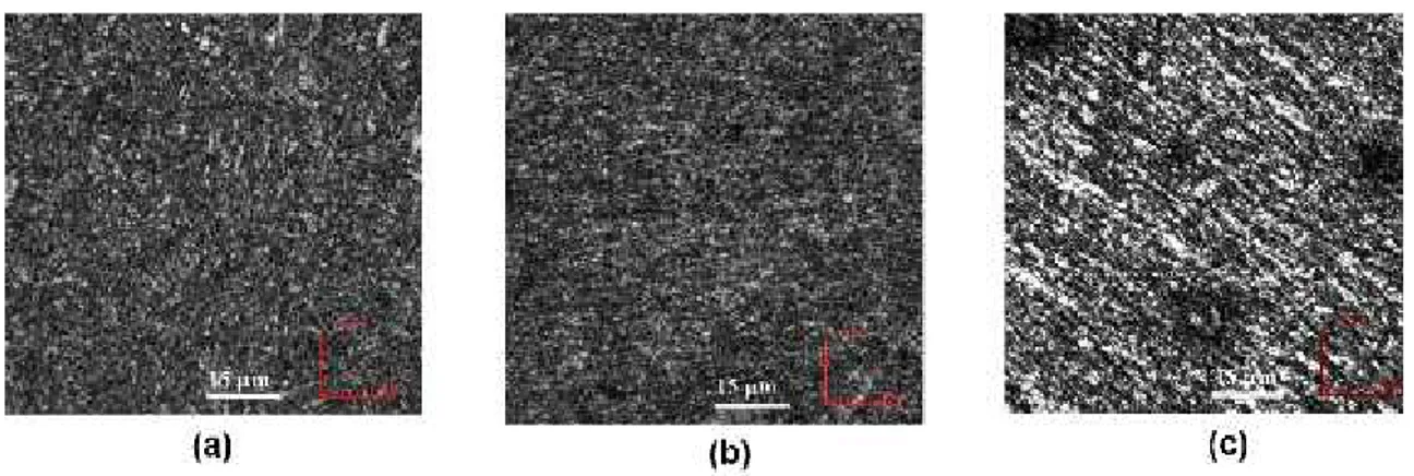 Figura  3:  Microestructura  de  los  aceros  al  Boro  templados  y  revenidos  a  350°C