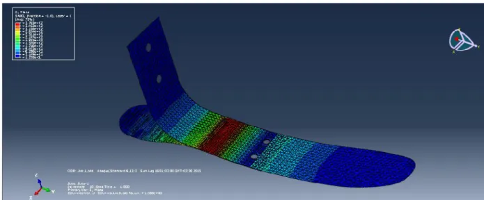 Fig. 7: Simulación numérica de pie en materiales compuestos