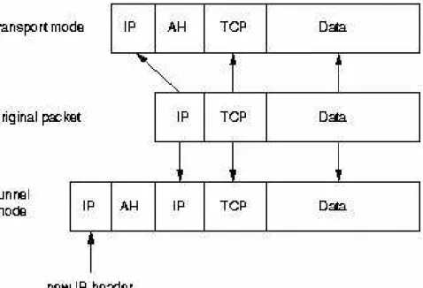 Figure 1. IPsec: modos túnel y transporte