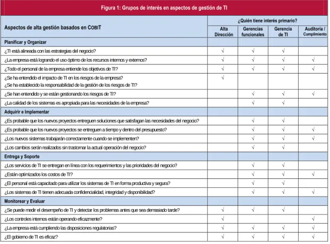 Figura 1: Grupos de interés en aspectos de gestión de TI