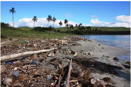 Figura 12. Desperdicios en la costa de Guánica, Puerto Rico 