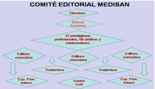 Fig. 1. Composición del Comité Editorial de Medisan 