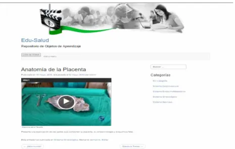 Fig. 2. Vista de listado de videos. 