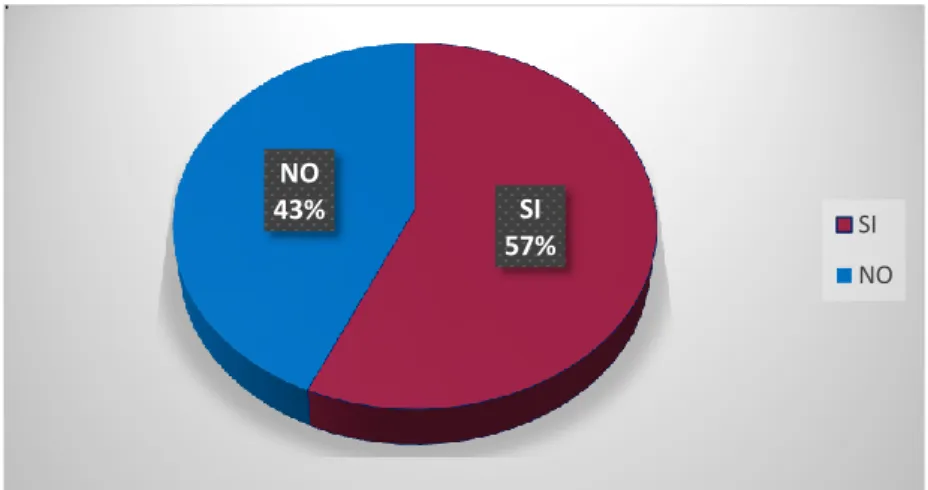 Gráfico 6 