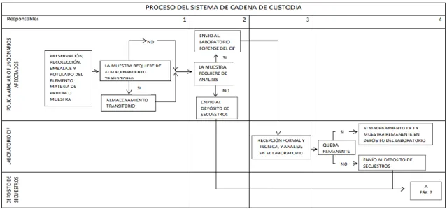 Gráfico 1: Proceso de Cadena de Custodia
