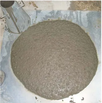 Fig. 2 Concrete in L box after testing. 