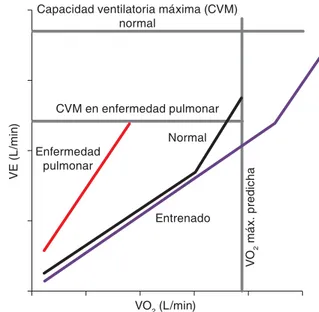 Figura 6. La ventilación minuto (Ve) en respuesta al trabajo  impuesto (Watts) o al consumo de oxígeno logrado (VO 2 ).
