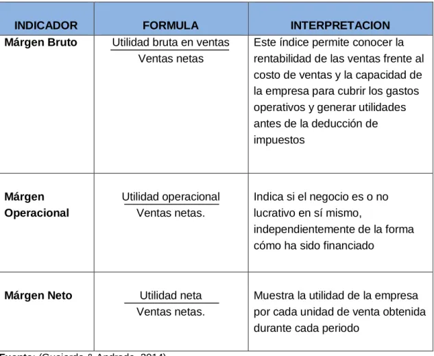 Tabla  5: Indicadores de rentabilidad. 