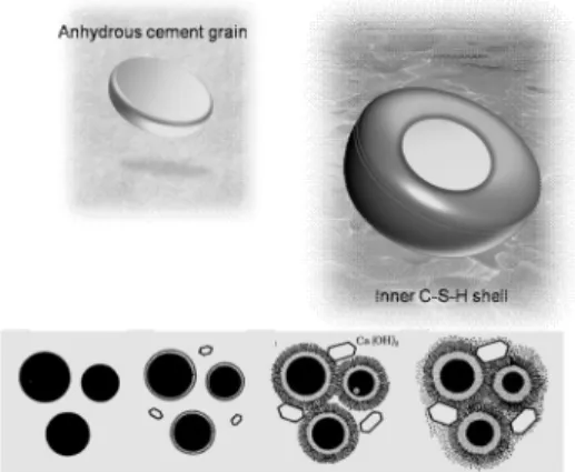 Figure 1.1. C-S-H gel formation 