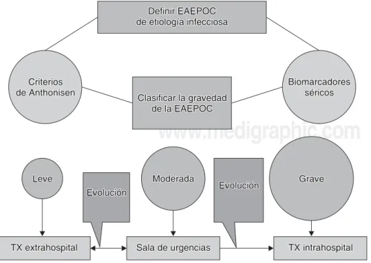 Figura 1. Algoritmo diagnóstico y de toma de desiciones en EAEPOC.