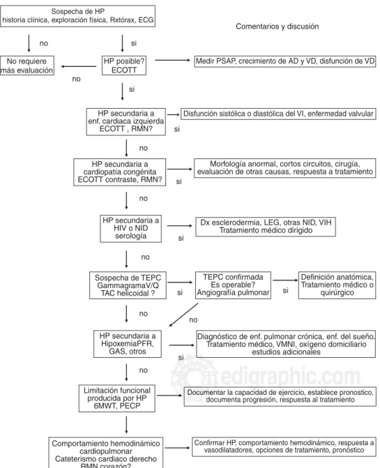 Figura 10. Algoritmo diagnóstico en