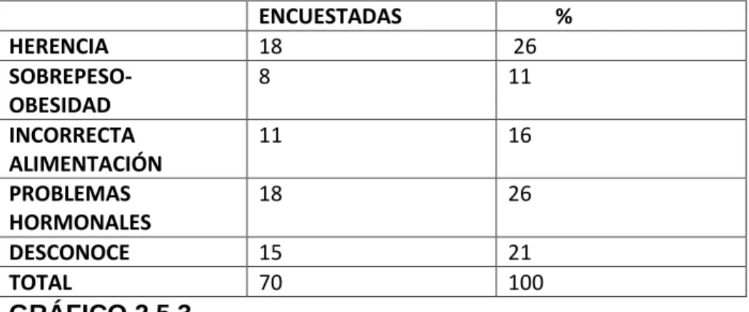 GRÁFICO 2.5.3 