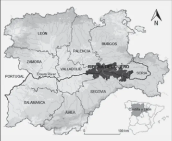 Fig. 1 Location, darker, of Ribera del Duero  (based on the map of declivity of the  Community of Castile and León)