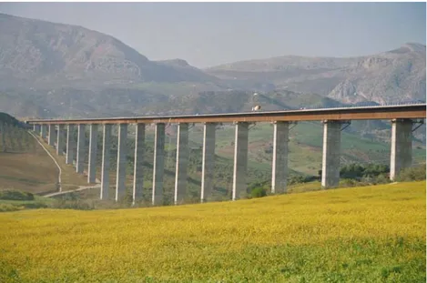 Figure 1. Viaduct “Arroyo las Piedras” for the HSR line Córdoba-Málaga, Spain (2007). Continuous deck  of length 1209 m, spans of 63,5 m and piers taller than 94 m