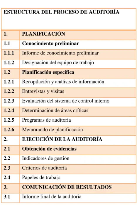 Figura 1Proceso de Auditoría 