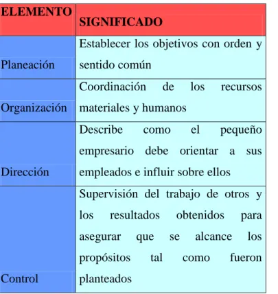 Figura 5. Elementos 
