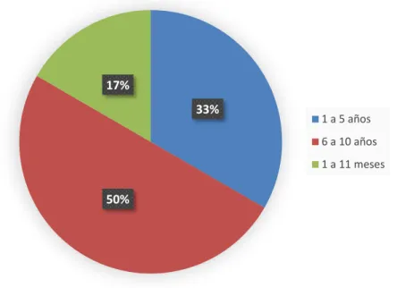Gráfico 2.   