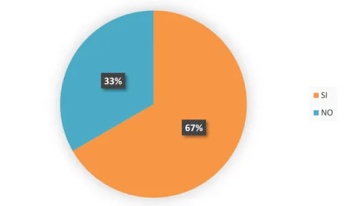 Gráfico 10.  