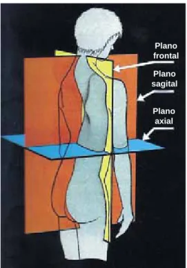 Figura 2. Concepto de las tres dimensiones en 