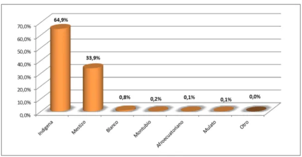 Gráfico 9. Auto-identificación según cultural y costumbres  Fuente: INEC (2010) 
