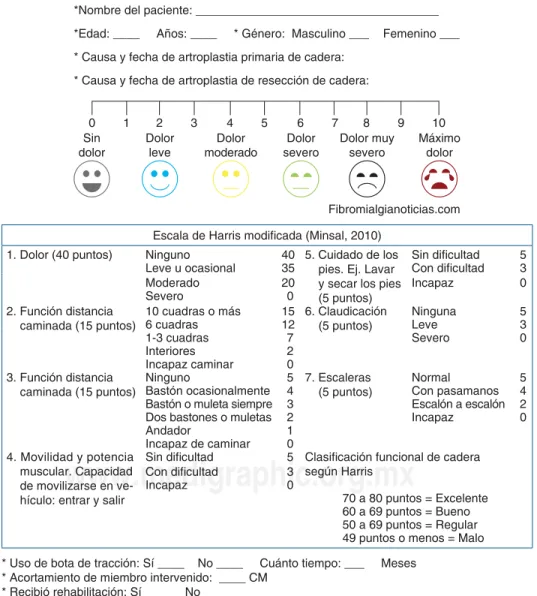 Figura 1. Formato de evaluación.