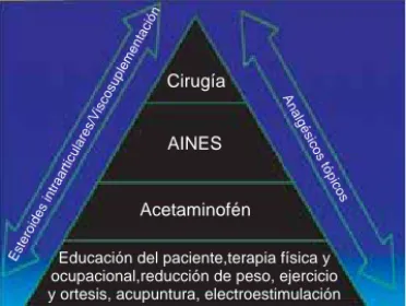 Figura 2. Pirámide terapéutica de la artrosis.