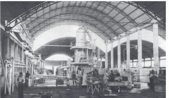 Fig. 4.- INVECOSA, conservas, Montijo (El Plan de Badajoz. 1962)