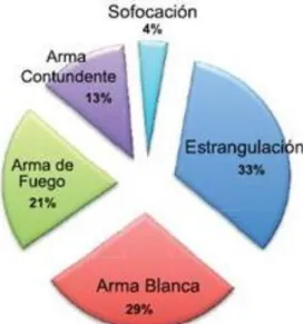 Figura  2 Femicidios según el arma utilizada. 2009  – 2013. 