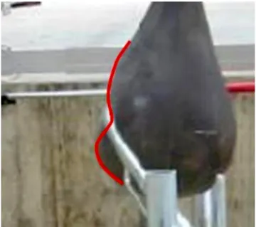 Figure 13.  Deformation produced in the ball after an impact   of 180 J on a TEPS.