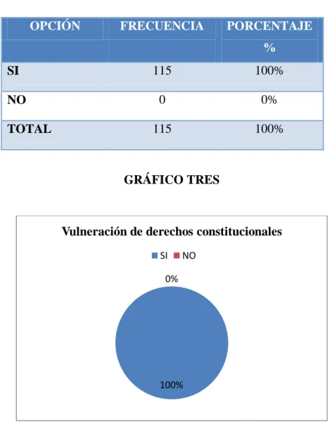 TABLA N° 3: Vulneración de derechos constitucionales. 