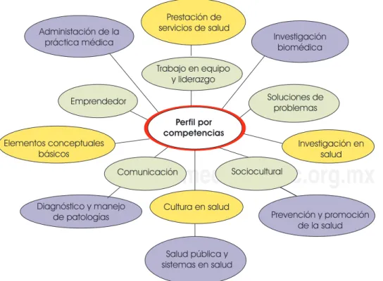Figura 1. Perfil por competen-