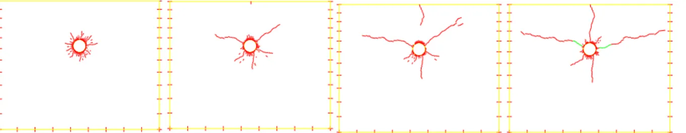Figure 4: Crack pattern in slab specimen L1 (in green, consolidated cracks with width > 0.1mm)