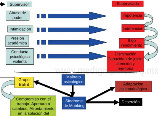 Figura 1.  Esquema del desarrollo 