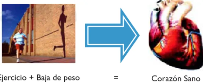 Figura 2. EI mantener un ejercicio físico estructurado le permite al corazón mantenerse en mejores condiciones generales y contento.