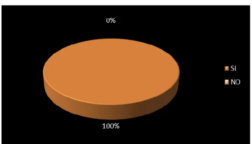 Gráfico N° 1 