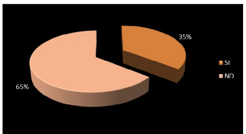 Gráfico N° 4 