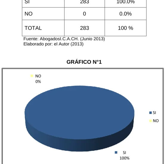 GRÁFICO N°1 