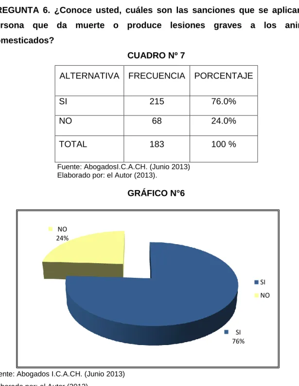 GRÁFICO N°6 