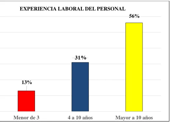Gráfico 2 Experiencia profesional 