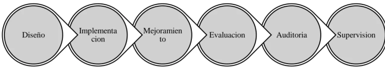 Figura 6 Roles y procesos 