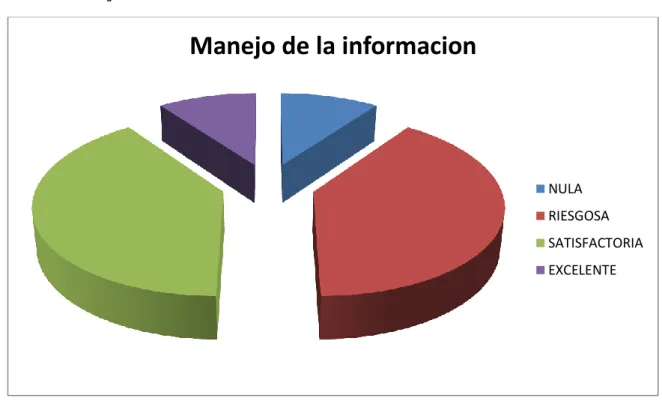 Gráfico  5 Manejo de Información 